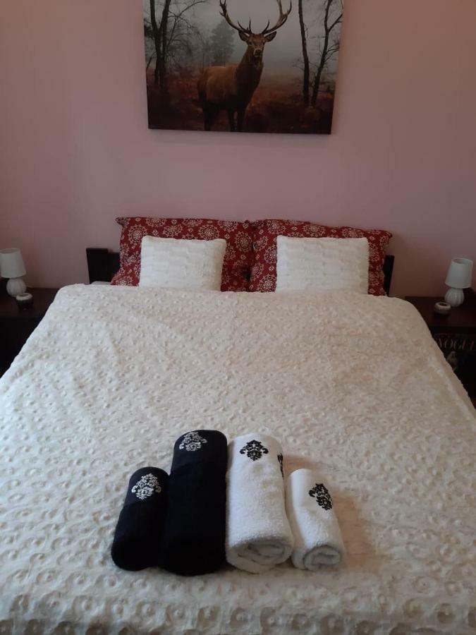 Apartament Wspanialy. Ковары Экстерьер фото